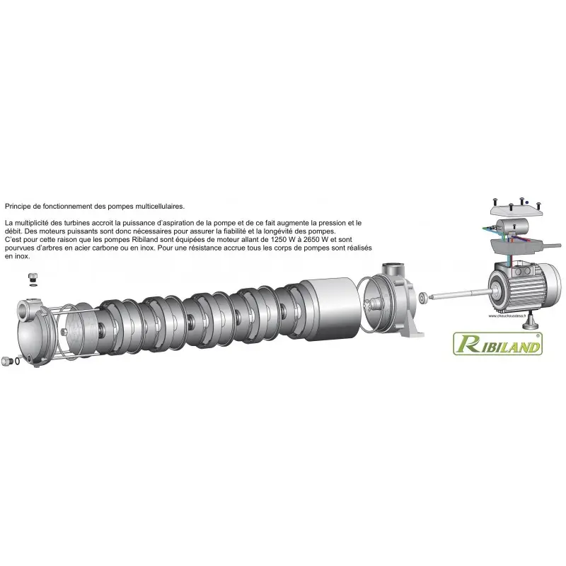Groupe surpresseur multicellulaire SurJet 5 turbines cuve 60 L – Image 3