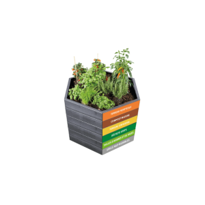 Carré potager et plantation Ergo Wood de Garantia