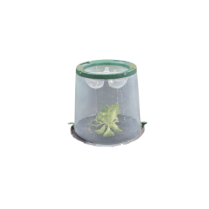 Lot de 3 cloches de culture Sunny Garantia pour plans et semis