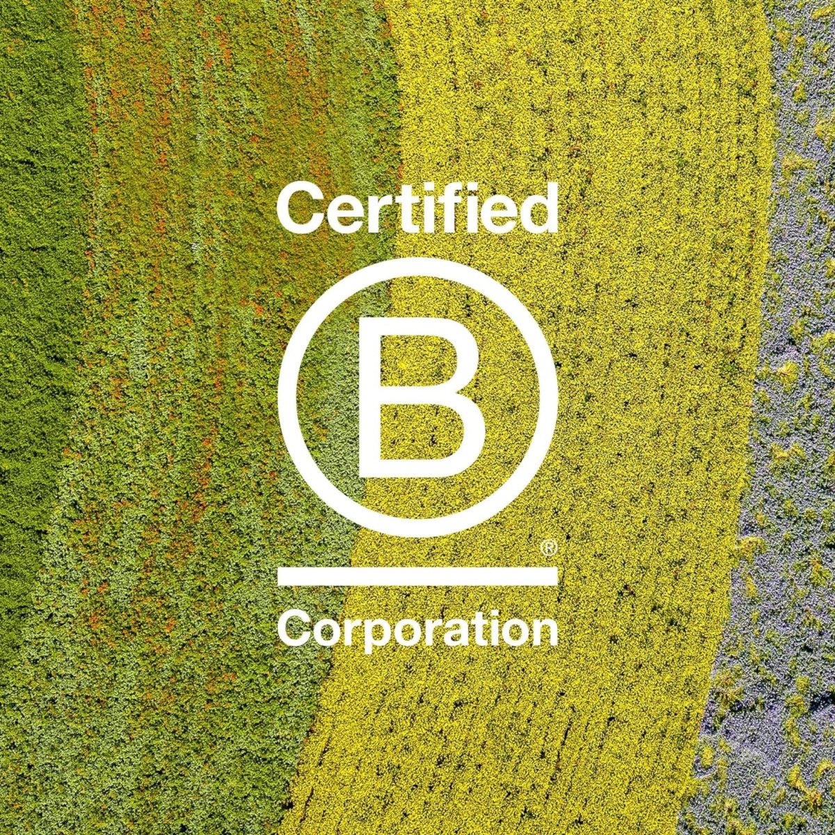 Davines. Laque Forte More Inside - 400 ml – Image 5