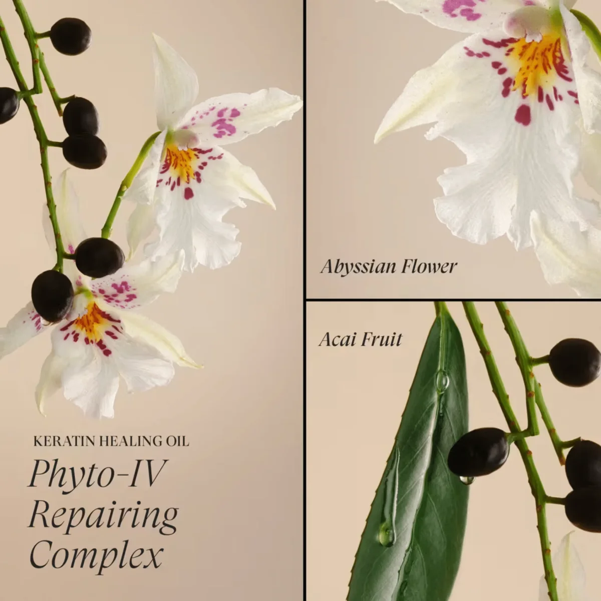 L'Anza. Keratin Healing Oil Laque De Finition Brush Thru - 350 ml – Image 6